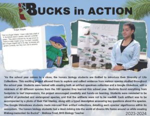 Image of Bucks in Action 2024 Diversity of Life Page 1 of the PDF